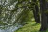 geinenvecht_072_small.jpg