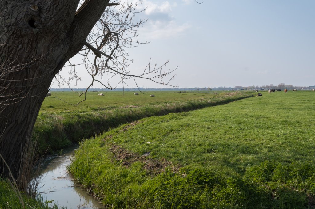 geinenvecht_073.jpg