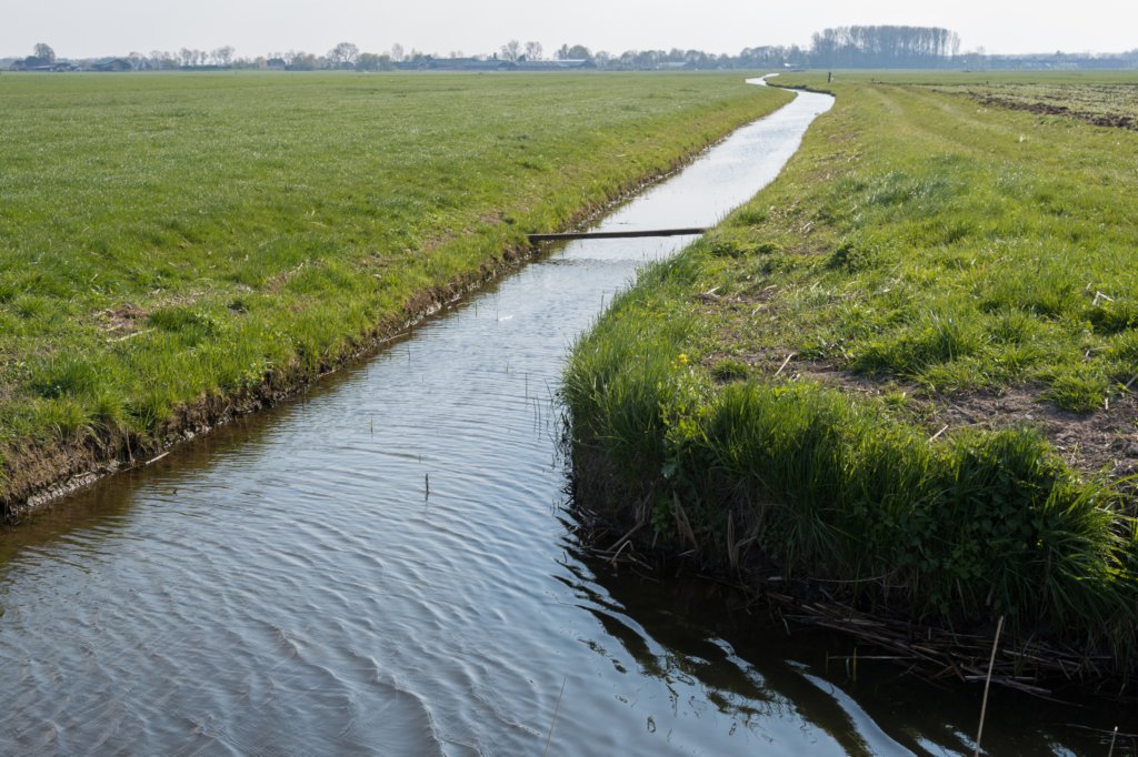 geinenvecht_076.jpg