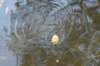 geinenvecht_079_small.jpg