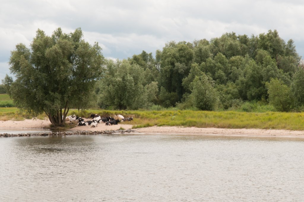 loevestein_007.jpg