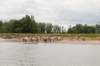 loevestein_021_small.jpg