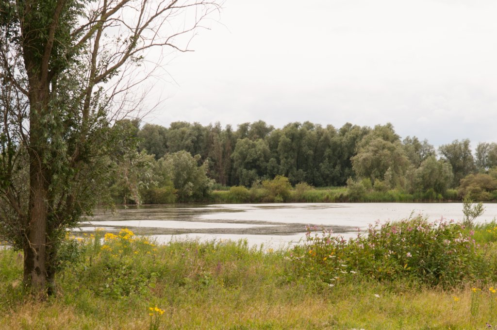 loevestein_032.jpg