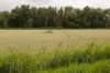 loevestein_033_small.jpg