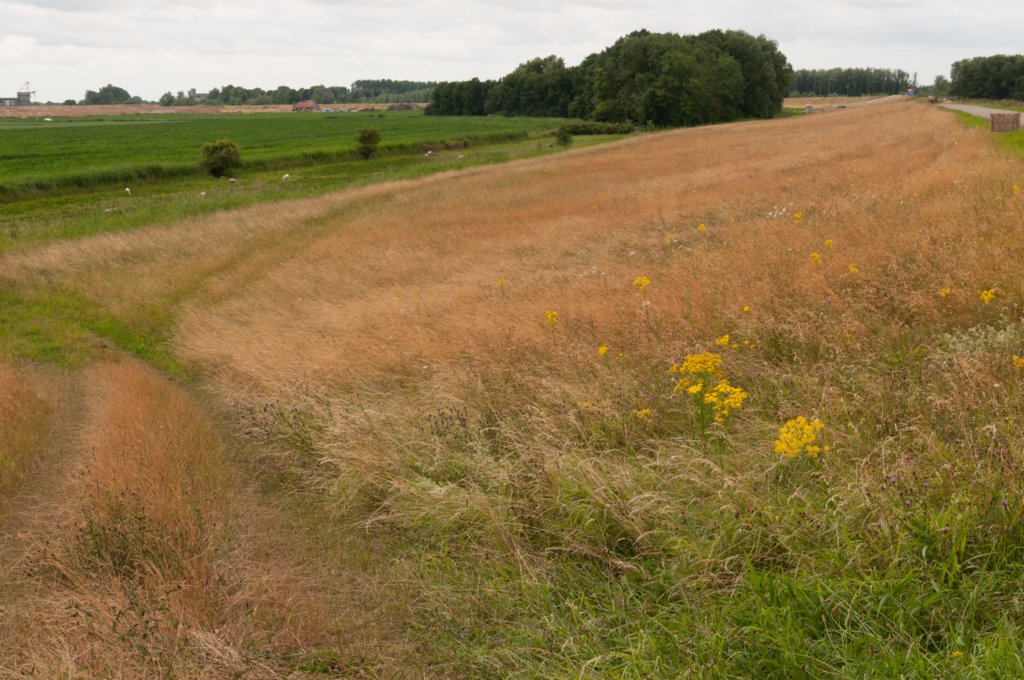 loevestein_036.jpg