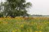 loevestein_047_small.jpg