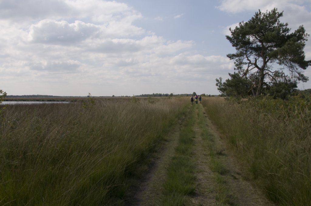 grootepeel_006.jpg