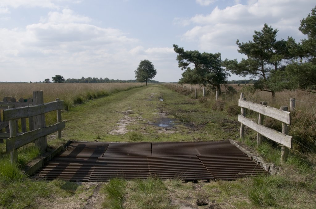 grootepeel_009.jpg