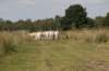 grootepeel_015_small.jpg