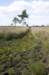 grootepeel_021_small.jpg