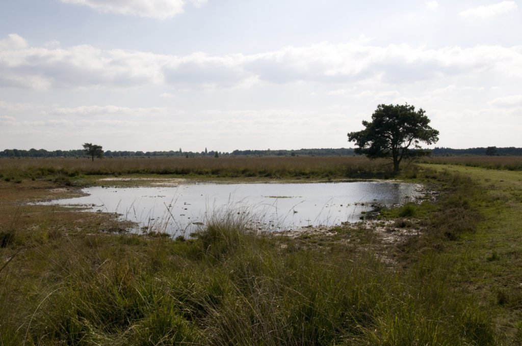 grootepeel_022.jpg