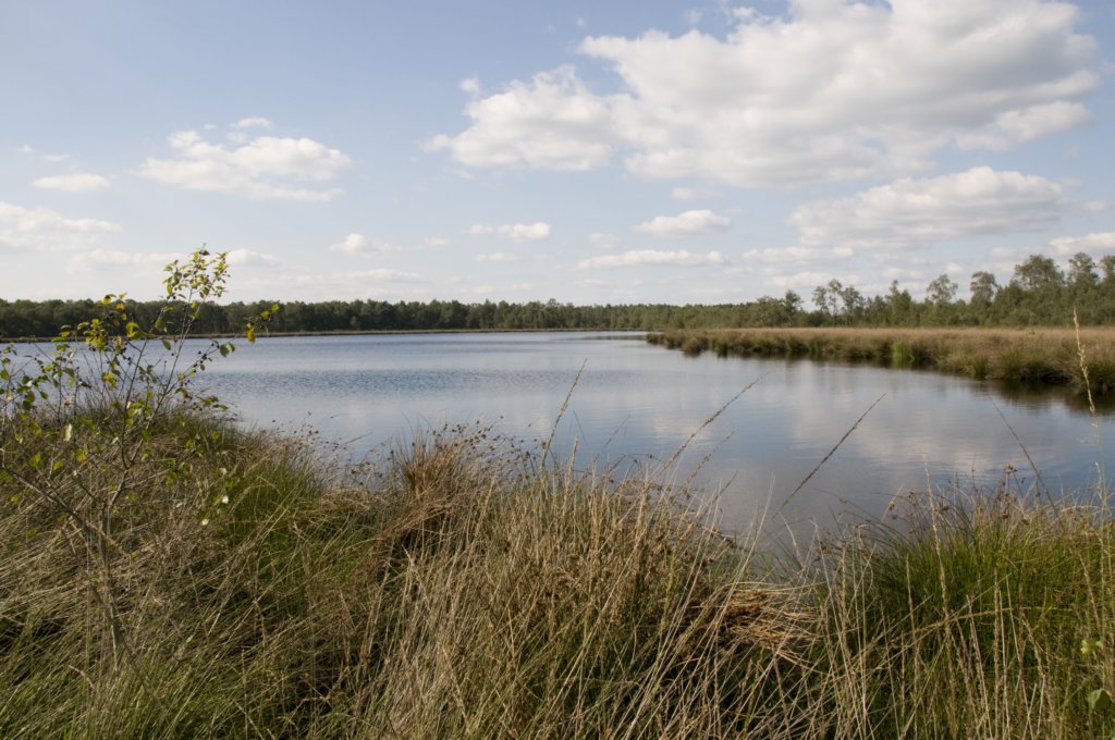 grootepeel_027.jpg
