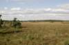 grootepeel_030_small.jpg