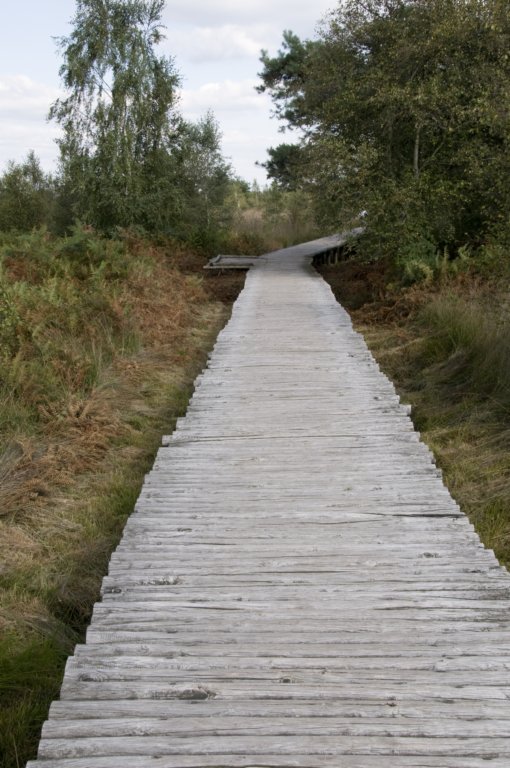 grootepeel_032.jpg
