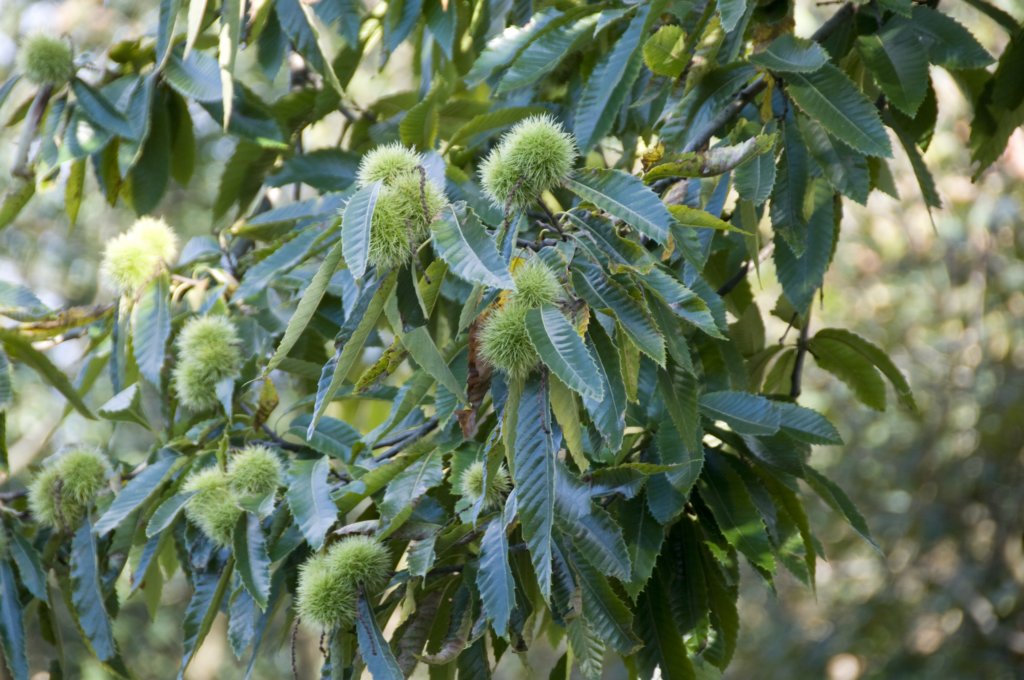 grootepeel_048.jpg