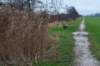 haarzuilens_011_small.jpg