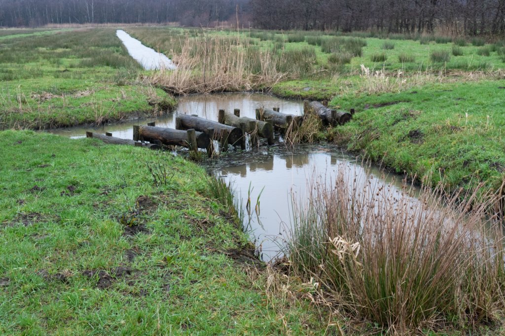 haarzuilens_012.jpg