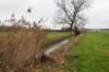 haarzuilens_013_small.jpg