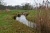 haarzuilens_014_small.jpg