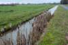 haarzuilens_017_small.jpg