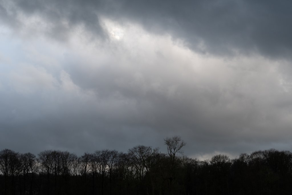 haarzuilens_030.jpg