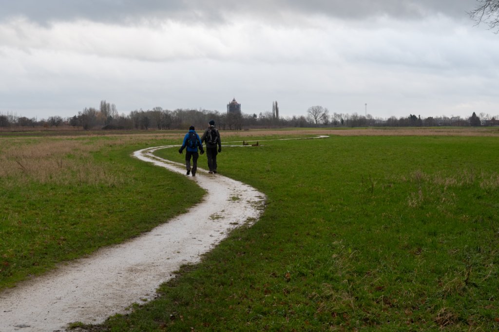 haarzuilens_031.jpg