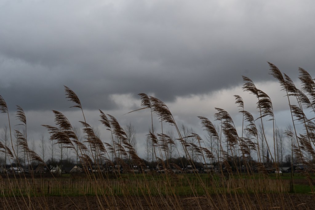 haarzuilens_036.jpg