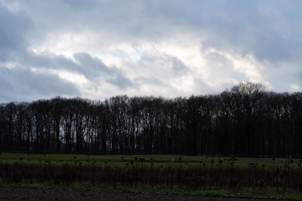 haarzuilens_037.jpg