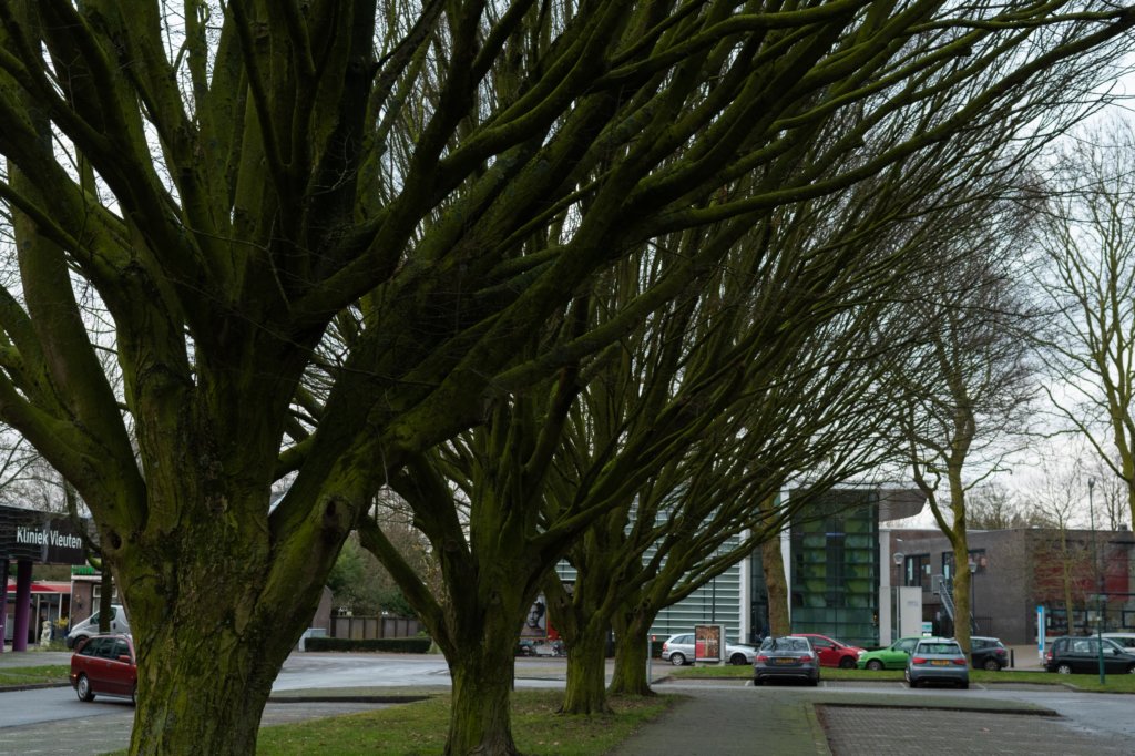 haarzuilens_040.jpg