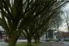 haarzuilens_040_small.jpg