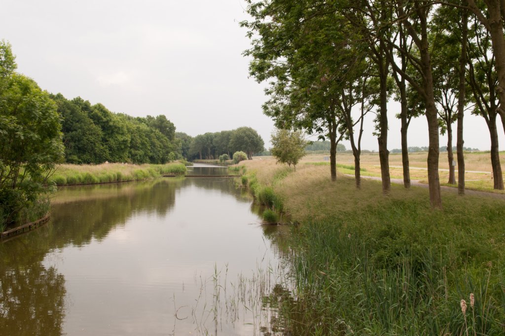 halfweg_003.jpg