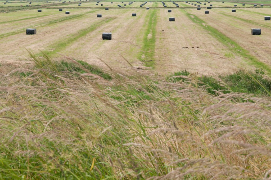 halfweg_004.jpg