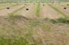 halfweg_004_small.jpg