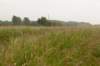 halfweg_006_small.jpg
