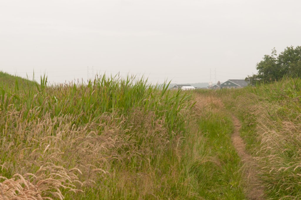 halfweg_007.jpg