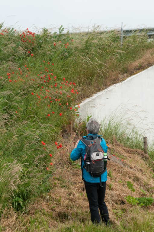 halfweg_011.jpg