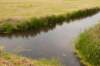 halfweg_012_small.jpg