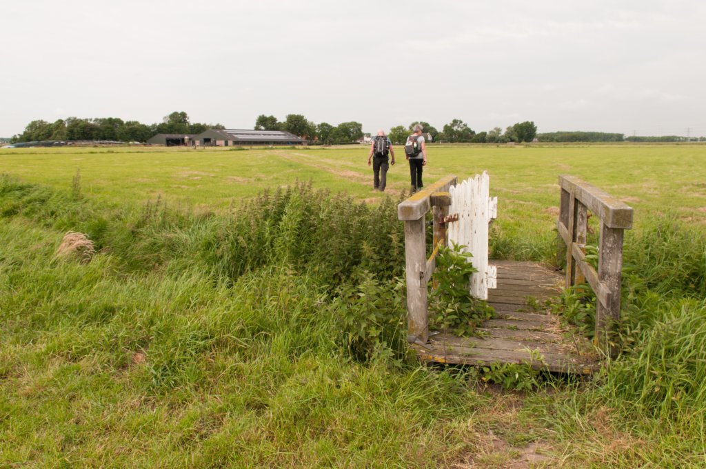halfweg_018.jpg