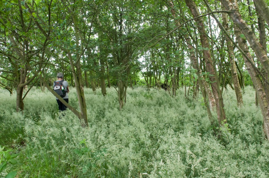 halfweg_022.jpg