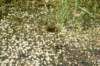halfweg_024_small.jpg