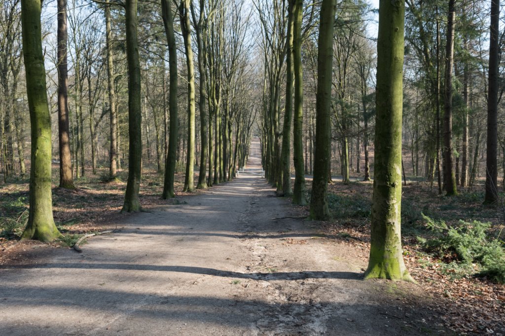 hemelseberg_002.jpg