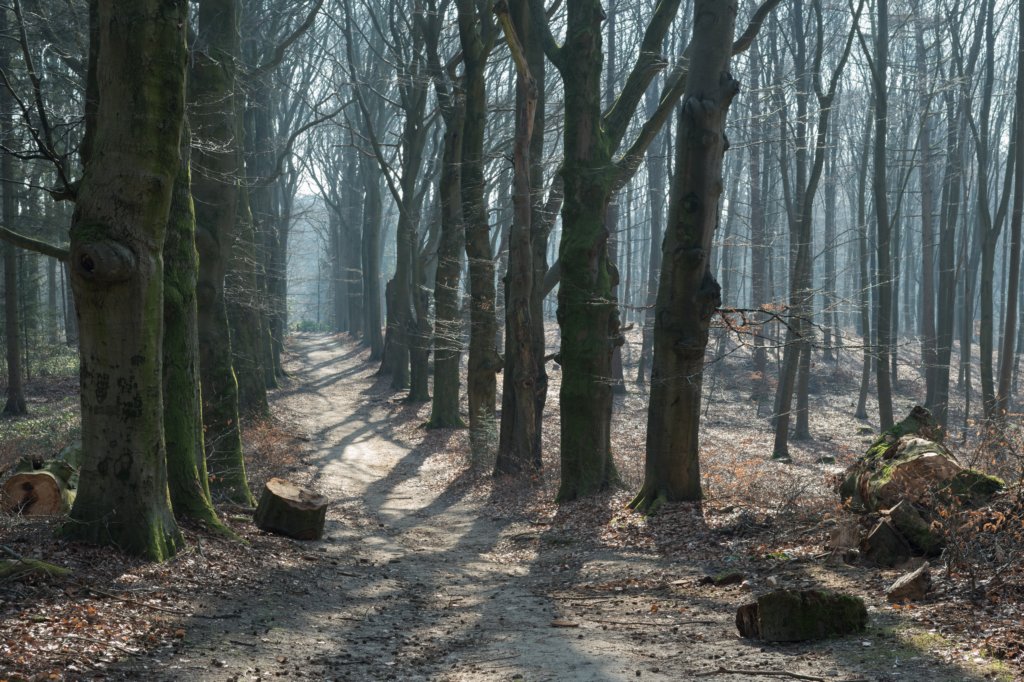 hemelseberg_004.jpg