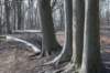 hemelseberg_014_small.jpg