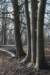 hemelseberg_015_small.jpg