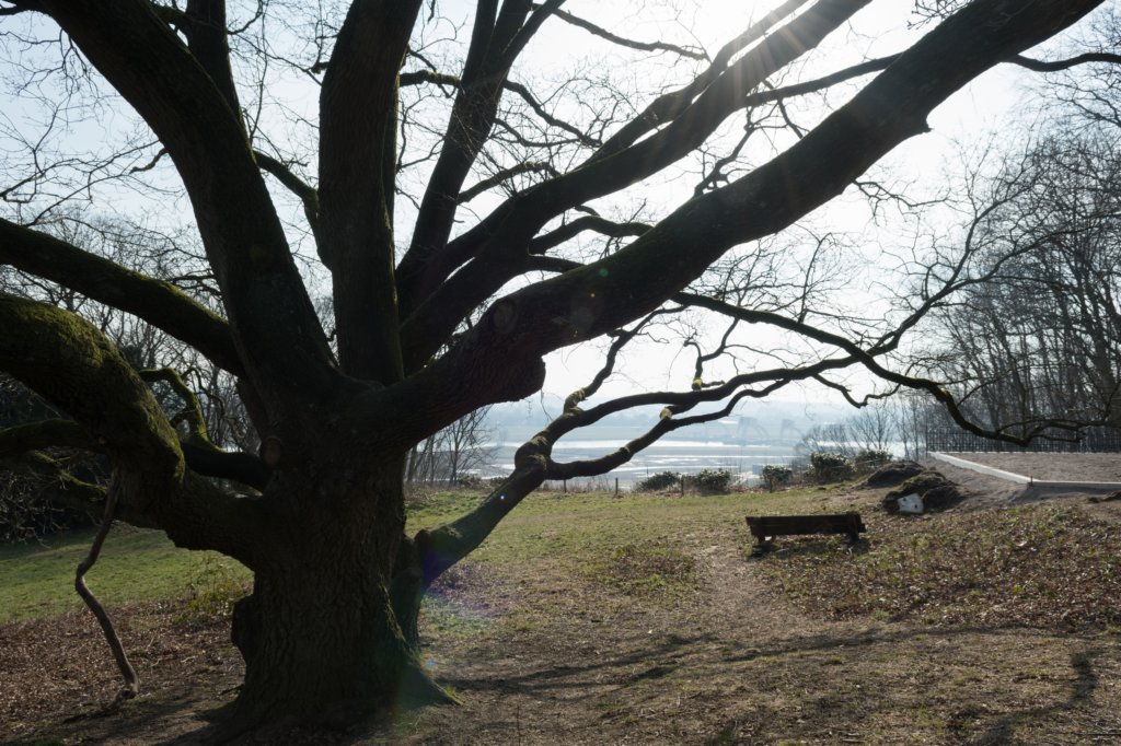 hemelseberg_017.jpg