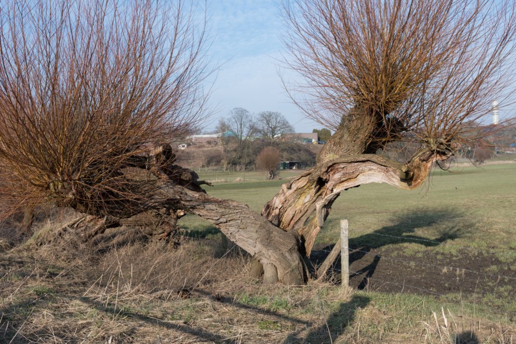 hemelseberg_044.jpg