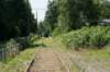 amsterdamsebos_011_small.jpg