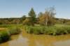 amsterdamsebos_012_small.jpg