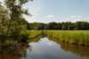 amsterdamsebos_013_small.jpg
