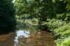 amsterdamsebos_016_small.jpg